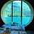 Carol J Brooks's profile image