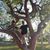 Dori Gaier's profile image