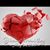 Amy Johnson McCarty's profile image