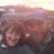 Sarah Neal's profile image