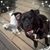 Kimberly Cannon's profile image