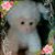 Cindy Jones's profile image