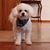 Debbie Vieregge Christopher's profile image