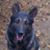 John Carlo's profile image