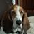 Rita Luper-Wilson's profile image