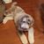 Jim Kreger's profile image