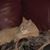 Kathy Drury's profile image
