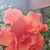 Vicki Carver's profile image