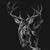 Douglas Eiswerth's profile image
