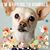 Tammy Armstrong Williams's profile image
