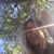 Heather J Winegardner's profile image
