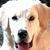 Christina Decker's profile image