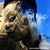 Divin Williams's profile image