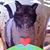 Kanda Zoe Caz's profile image