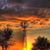 Susan Lambert Wilkerson's profile image