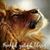 Donella Lyles's profile image