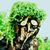 Noel Ishta Paz's profile image