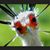 Jennifer Baggerman's profile image