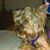Linda Davis Cunningham's profile image