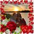 Hazel Mottola's profile image