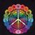 Michelle Dolan-Conrad's profile image