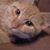 Tina Mixon's profile image