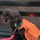Jack F.'s profile image