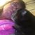 Kristina Murphy's profile image