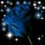 Amy Iverson's profile image