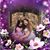 Jennifer Kirk Scott's profile image