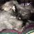 Wendy Martin's profile image