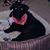 Vickie Gutierrez's profile image