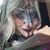 Cindy Williams's profile image