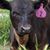Kimberly A. Schmidt's profile image