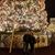 Mary Serobyan's profile image