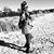 Desirée Love's profile image