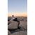 Gwendolyn Catalano's profile image