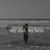 Cory Disher's profile image