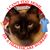 Wendy Kopp's profile image