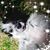 Maty Stern's profile image
