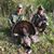 Paxton Pettit's profile image