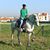Ana Moedas's profile image