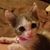 Karen Walls's profile image