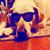 Steven Ransdell's profile image