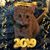 Donna Dinolfo Burden's profile image