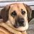 Tracy Spilger's profile image