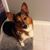 Jaclyn Baxter's profile image