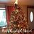 Lynne Pimental's profile image