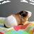 Sue Petrey Thompson's profile image
