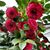 Judy Hoffman's profile image